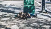 Plus de 2 300 enfants dorment à la rue en France, selon l'Unicef
