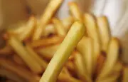 Pommes de terre : chute de 23 % de la production française en 2026