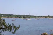 À Porquerolles, les ancres des bateaux traquées pour protéger la posidonie