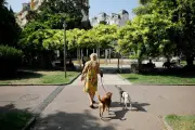 Pétition à Nice pour un espace canin au jardin Thiole
