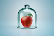 Quiz: des vers plein de fruits?