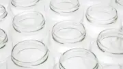 Radioactivité dans l'Aude : des pots de confiture suspectés