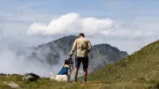 Randonneur de 30 ans disparu en Haute-Savoie, son chien retrouvé seul