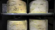 Rappel de fromages en grande surface : ne pas consommer