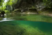 Réfuges thermiques : poissons et écrevisses ont leur planque anti-canicule