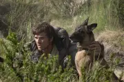 Ridley Scott : « The Dog Stars », une ode à la nature post-apocalypse