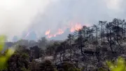 Risque incendie : 36 départements placés en alerte orange ce lundi