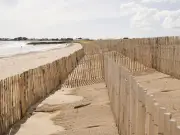 Érosion côtière : le Morbihan teste des solutions naturelles