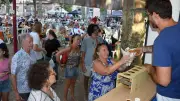 Saint-Affrique : dernier marché gourmand nocturne de l'été ce jeudi