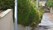 Saint-Affrique : la Ville demande de tailler haies et arbres