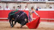Saint-Gilles : deux cartels attractifs pour les 30 ans de la feria