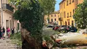 Saint-Thibéry : l'orage a causé d'importants dégâts dans la commune