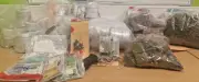 Saisie de 20 kg de résine et 10 000 € dans l'Hérault