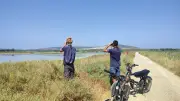 Salines de Villeneuve et étang de Vic : la biodiversité au cœur