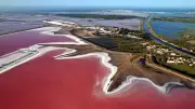 Salins d’Aigues-Mortes : la récolte de l’or blanc vue du ciel