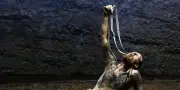 Salzbourg : Castellucci met en scène un François d'Assise apocalyptique