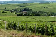 Sancerre rosé 2026 : notre sélection des meilleurs vins