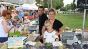 Saveurs et produits locaux au marché dominical de Lattes