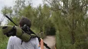 Scamandre : une balade au cœur de la faune camarguaise
