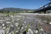 Sécheresse : 100 communes des Alpes-Maritimes sous restriction d'eau