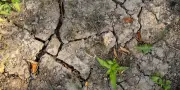 Sécheresse : 70% de la France sous restrictions d'eau