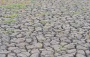 Sécheresse : 99 départements sous restrictions, risque de pénurie d'eau potable