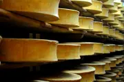 Sécheresse : allègement de la réglementation pour le comté, le beaufort et l'abondance
