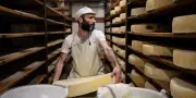 Sécheresse : assouplissement temporaire des règles AOP pour trois fromages