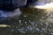 Sécheresse dans le Var : la vigilance est un appel à la sobriété, selon la directrice de la Maison régionale de l'eau