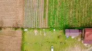 Sécheresse : des maraîchers de la Loire contrôlés par satellite et IA