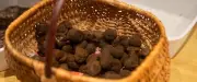 Sécheresse en Aveyron : la production de truffes menacée