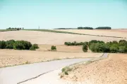 Sécheresse en Bourgogne : habitants et animaux face à un été dévastateur
