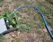 Sécheresse en Bretagne : l'irrigation systématique pointée du doigt