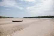 Sécheresse en Europe : cultures menacées, Danube au plus bas