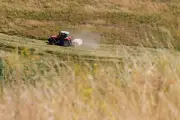 Sécheresse historique : les agriculteurs français témoignent