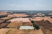 Sécheresse : les agriculteurs français s'adaptent, du sorgho au maïs