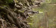 Sécheresse : « notre société s'est construite sur le mythe d'une eau abondante »