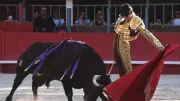 Sept oreilles à Vauvert : Castella, Vicens et El Rafi triomphent