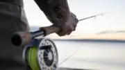 Silure de 2 mètres pêché par Titouan, 14 ans, au lac du Bourget