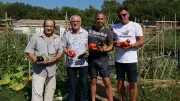 Simiane-Collongue : le Jardin écolo, lieu de culture et de transmission