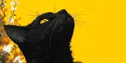 Sélection livres : Adios Buenos Aires, Orbitor, Danser avec les pierres