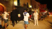 Soirée bodega à Saint-André-de-Sangonis : tapas et cochon noir