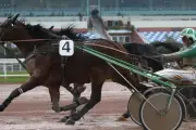 Soirée de l'amitié : clap de fin du meeting d'été à Cagnes
