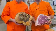 Sommières : premier jambon cru artisanal sous le pont romain