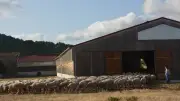 Sophie Pradel fait revivre la ferme des Gamboules à Saint-Michel