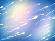 Spermatozoïdes : meilleurs en été ?