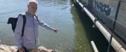 Étang du Ponant : ensablement et salinité record menacent les rives
