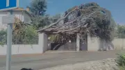 Tempête dans le Biterrois : Maraussan demande la reconnaissance de l'état de catastrophe naturelle