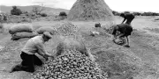 Terres minuscules : le faux polar de Catarina Gomes
