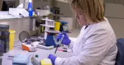 Tests ADN généalogiques : amende jusqu'à 3 750 € en France